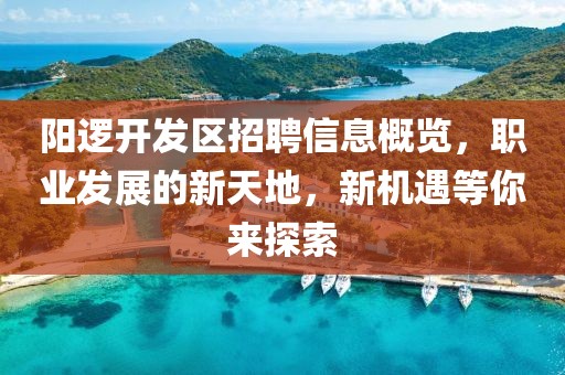 陽邏開發(fā)區(qū)招聘信息概覽，職業(yè)發(fā)展的新天地，新機遇等你來探索