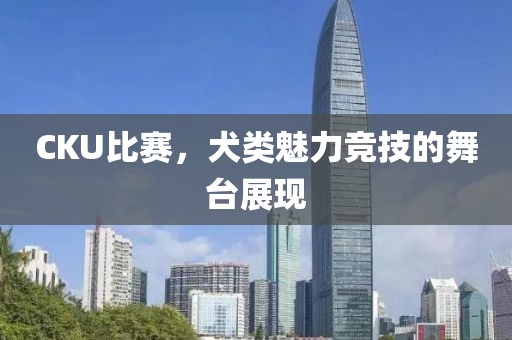 CKU比賽，犬類魅力競技的舞臺展現(xiàn)