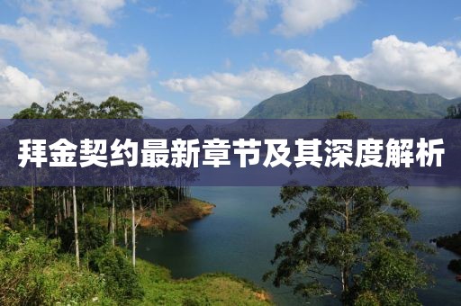 拜金契約最新章節(jié)及其深度解析