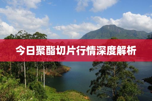 今日聚酯切片行情深度解析