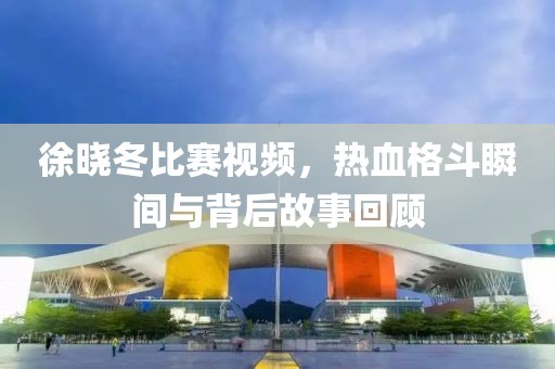 徐曉冬比賽視頻，熱血格斗瞬間與背后故事回顧