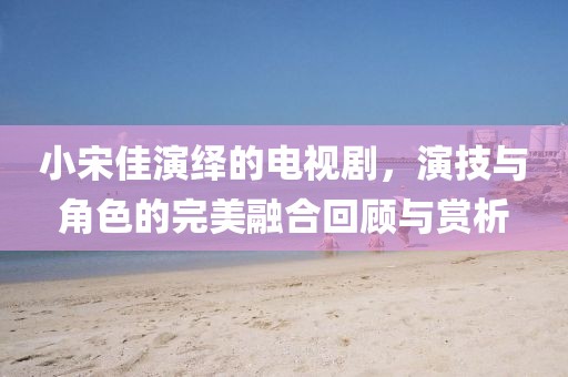 小宋佳演繹的電視劇，演技與角色的完美融合回顧與賞析