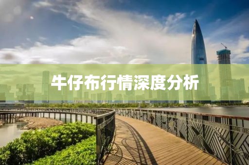 牛仔布行情深度分析