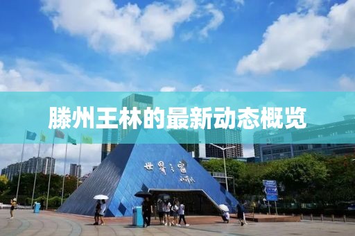 滕州王林的最新動(dòng)態(tài)概覽