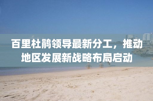 百里杜鵑領(lǐng)導(dǎo)最新分工，推動地區(qū)發(fā)展新戰(zhàn)略布局啟動