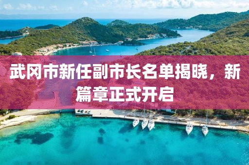 武岡市新任副市長名單揭曉，新篇章正式開啟