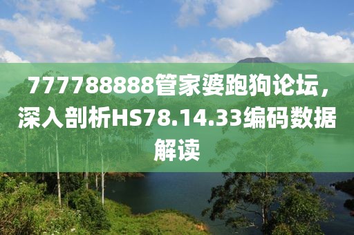 777788888管家婆跑狗論壇，深入剖析HS78.14.33編碼數(shù)據(jù)解讀