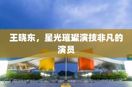 王曉東，星光璀璨演技非凡的演員