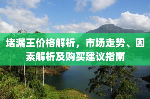 堵漏王價(jià)格解析，市場(chǎng)走勢(shì)、因素解析及購(gòu)買(mǎi)建議指南