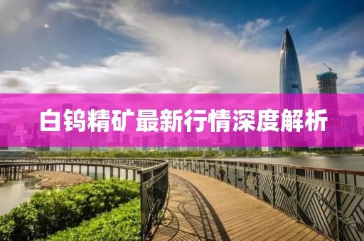 白鎢精礦最新行情深度解析