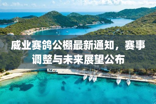 威業(yè)賽鴿公棚最新通知，賽事調(diào)整與未來(lái)展望公布