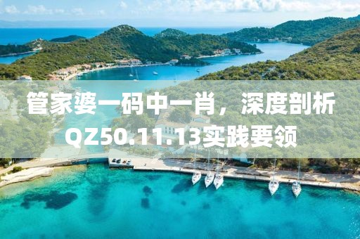管家婆一碼中一肖，深度剖析QZ50.11.13實(shí)踐要領(lǐng)