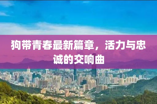 狗帶青春最新篇章，活力與忠誠的交響曲