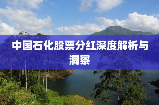 中國(guó)石化股票分紅深度解析與洞察