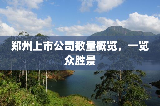鄭州上市公司數(shù)量概覽，一覽眾勝景