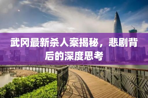 武岡最新殺人案揭秘，悲劇背后的深度思考