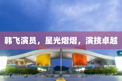 韓飛演員，星光熠熠，演技卓越