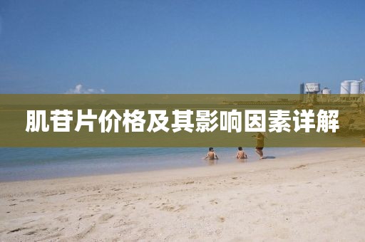 心素如簡(jiǎn) 第3頁(yè)