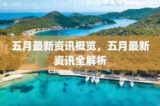 五月最新資訊概覽，五月最新資訊全解析