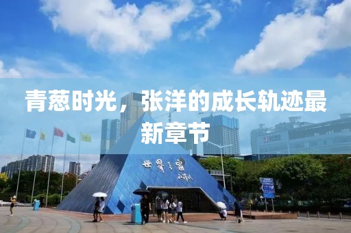 青蔥時(shí)光，張洋的成長(zhǎng)軌跡最新章節(jié)