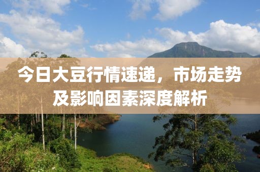 今日大豆行情速遞，市場走勢及影響因素深度解析