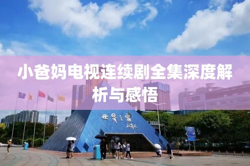 小爸媽電視連續(xù)劇全集深度解析與感悟