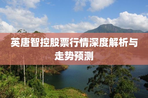 英唐智控股票行情深度解析與走勢預(yù)測