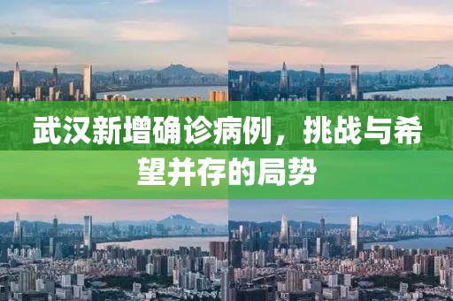 武漢新增確診病例，挑戰(zhàn)與希望并存的局勢(shì)
