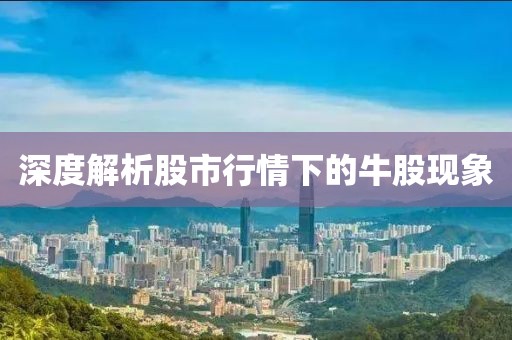 深度解析股市行情下的牛股現(xiàn)象