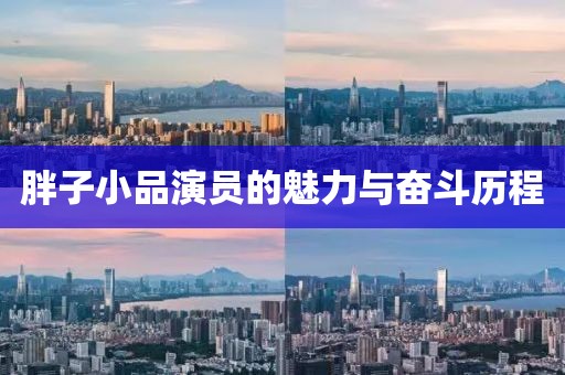 胖子小品演員的魅力與奮斗歷程