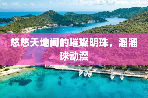 悠悠天地間的璀璨明珠，溜溜球動(dòng)漫