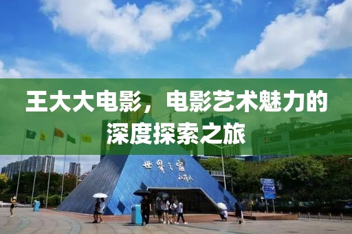 王大大電影，電影藝術(shù)魅力的深度探索之旅