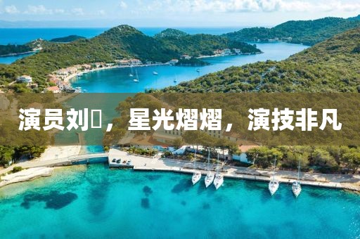 演員劉犇，星光熠熠，演技非凡
