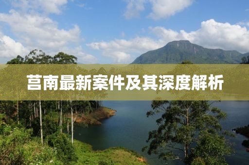 莒南最新案件及其深度解析