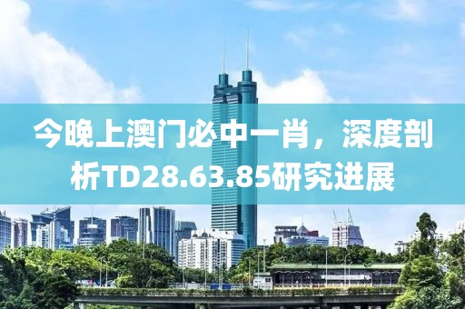 今晚上澳門必中一肖，深度剖析TD28.63.85研究進(jìn)展