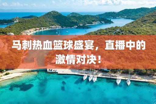 馬刺熱血籃球盛宴，直播中的激情對決！