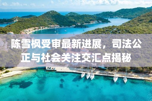 陳雪楓受審最新進(jìn)展，司法公正與社會(huì)關(guān)注交匯點(diǎn)揭秘