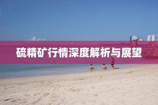硫精礦行情深度解析與展望