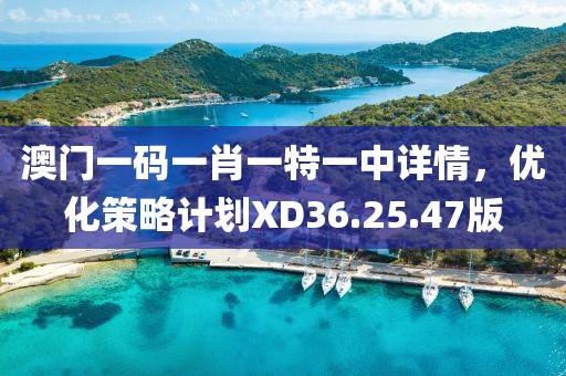 澳門(mén)一碼一肖一特一中詳情，優(yōu)化策略計(jì)劃XD36.25.47版