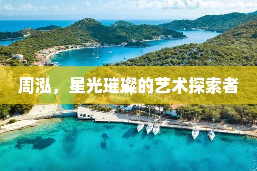 周泓，星光璀璨的藝術(shù)探索者