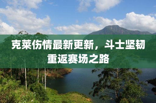 克萊傷情最新更新，斗士堅(jiān)韌重返賽場(chǎng)之路