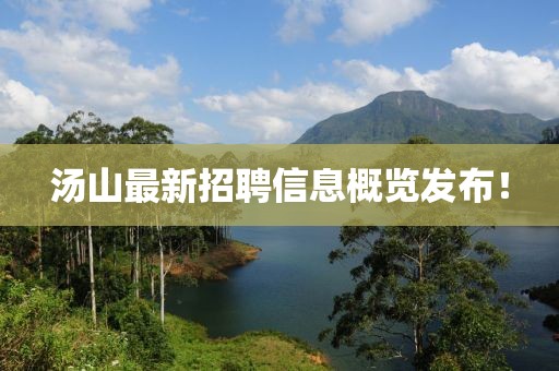 湯山最新招聘信息概覽發(fā)布！
