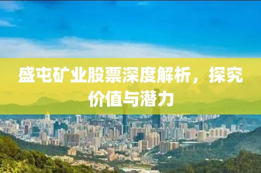 盛屯礦業(yè)股票深度解析，探究價(jià)值與潛力
