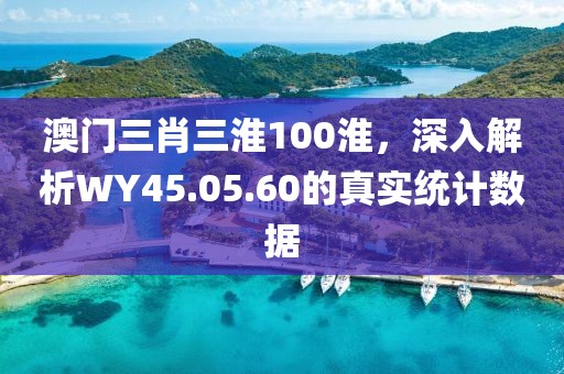 澳門三肖三淮100淮，深入解析WY45.05.60的真實(shí)統(tǒng)計(jì)數(shù)據(jù)