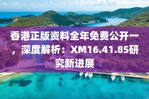 香港正版資料全年免費公開一，深度解析：XM16.41.85研究新進展