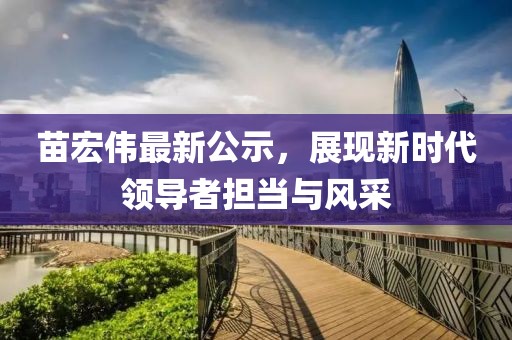 苗宏偉最新公示，展現(xiàn)新時(shí)代領(lǐng)導(dǎo)者擔(dān)當(dāng)與風(fēng)采