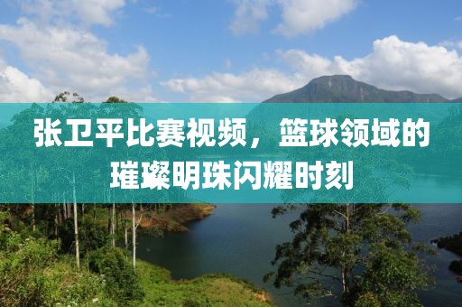 張衛(wèi)平比賽視頻，籃球領(lǐng)域的璀璨明珠閃耀時(shí)刻
