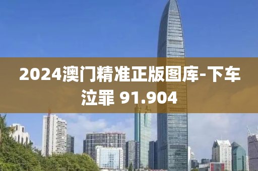 2024澳門精準(zhǔn)正版圖庫-下車泣罪 91.904