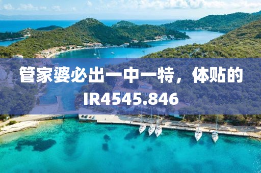 管家婆必出一中一特，體貼的IR4545.846