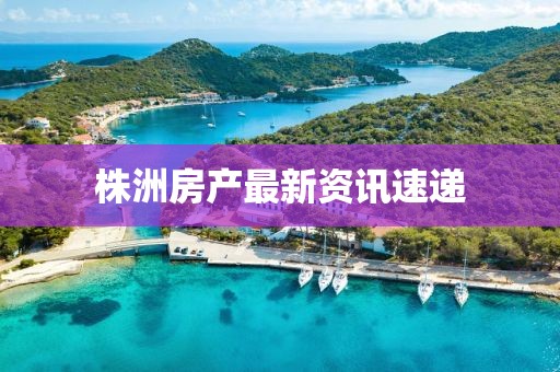 株洲房產最新資訊速遞